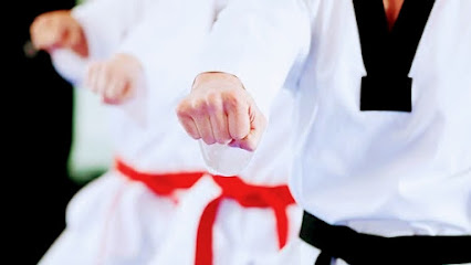 TORII TAEKWONDO KICK BOXING FULL CONTACT