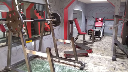 GYM FORTIUS