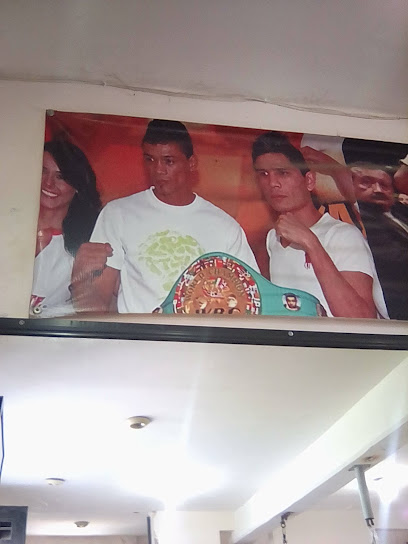 GIMNASIO DE BOX TOMAS "GUSANO" ROJAS