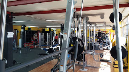 Sport Central