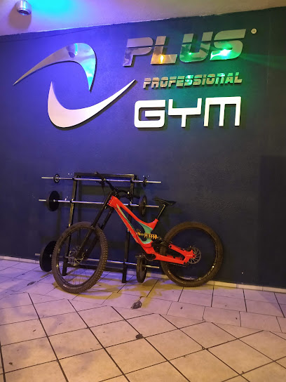 Plus Profesional Gym