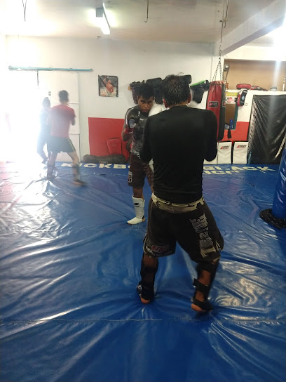 Ledo's Team, Kick Boxing & MMA