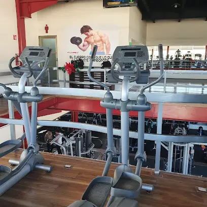 Fitlovers gym