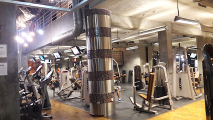 Vizzio Gym