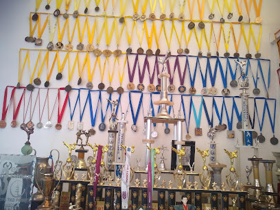 Tae Kwon Do Leones del valle
