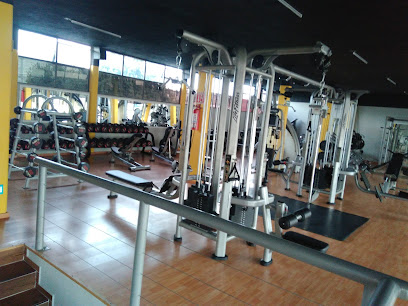 World Fitness