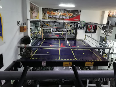 Lesya Gym