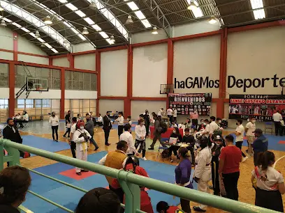 Deportivo Miguel Hidalgo