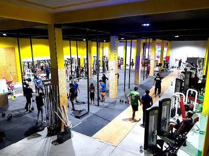 ANIMAL ELITE TRAINING GYM / CROSSFIT