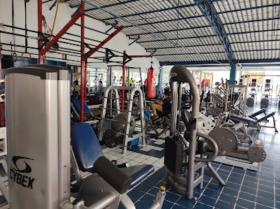 The Gym Silvers