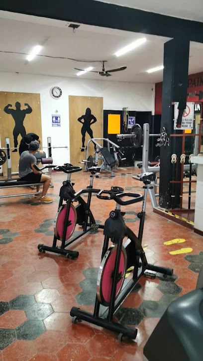 Basics Gym