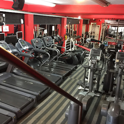 CHAMPION FITNESS