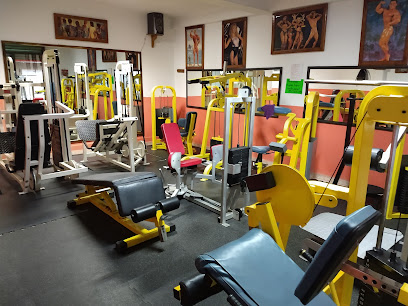 Gimnasio RO-MA