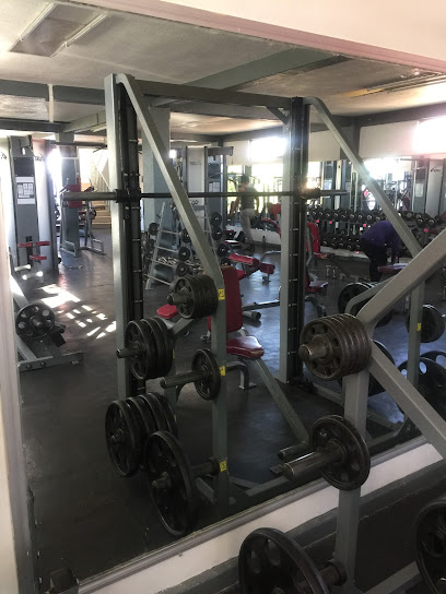 Gym Sport Universe