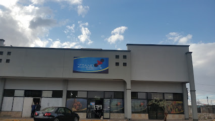 Ztandox GYM