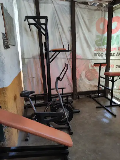 CODICE GYM