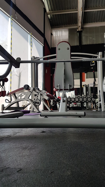PONTE EN FORMA GYM Alamos