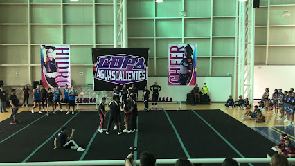 Club Crisol Gimnasia