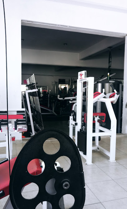 MARIO'S GYM