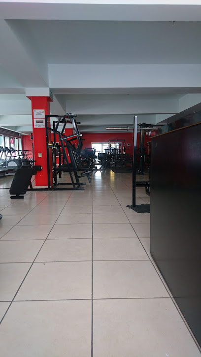 Perfect Physique Gym