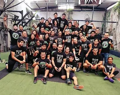 Crossfit Vikings Of Ten Mexico
