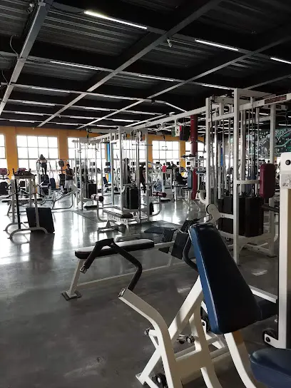 GYMEX FITNESS