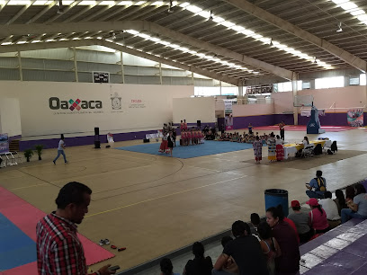 Gimnasio Ricardo Flores Magón