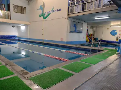 Delfines Gym Carrasco