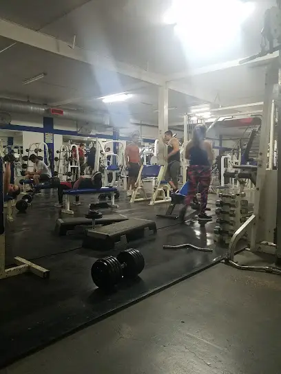 Apolo's Gym