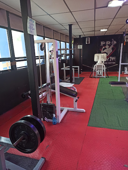 Pro-Gym