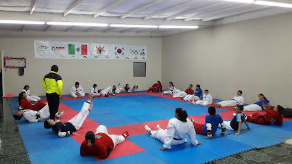Taekwondo Oriente Internacional