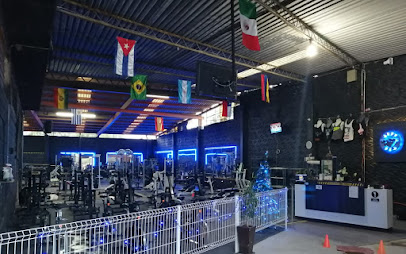BUDA GYM