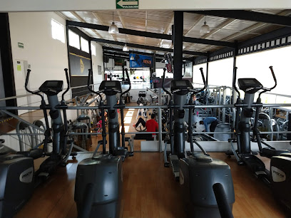 Bio & Sport