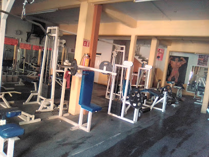 GYM Venecia
