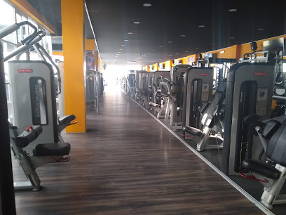 Apolo Gym Bugambilias