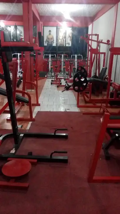 Bestias Gym Xona