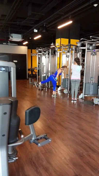 Gimnasio Smart Fit - Animol