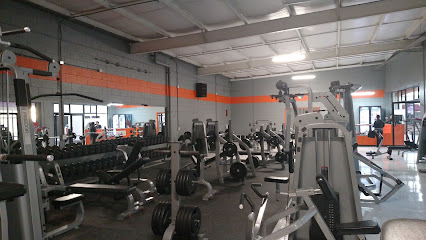 Balance Gym & Fitness