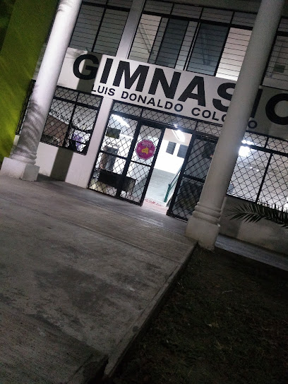 Gimnasio Luis Donaldo Colosio