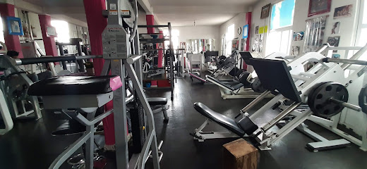 Gym Musclecav