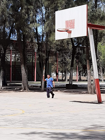 Unidad Deportiva.