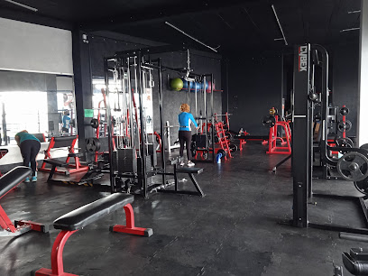 Cardio Beath Diamond