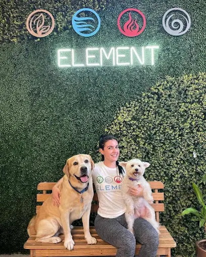 Element Wellness Center