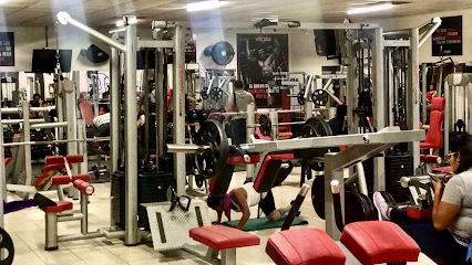Vizzio Gym Addictive Fitness Center