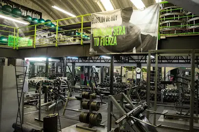 STOR GYM