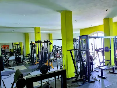 Tazmania gym