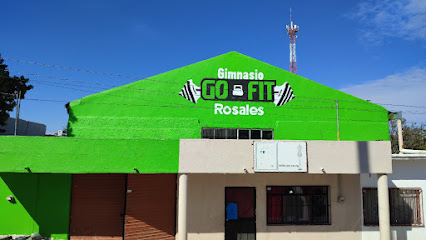 Go Fit Rosales Gimnasio