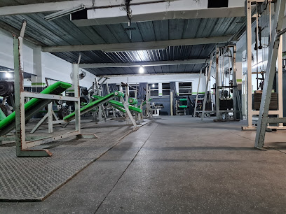 Palmas GYM
