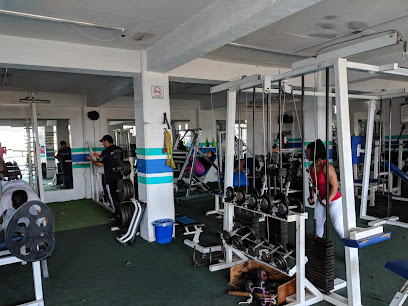 Power House Gym 43