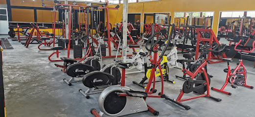 COLISEO ENER-GYM